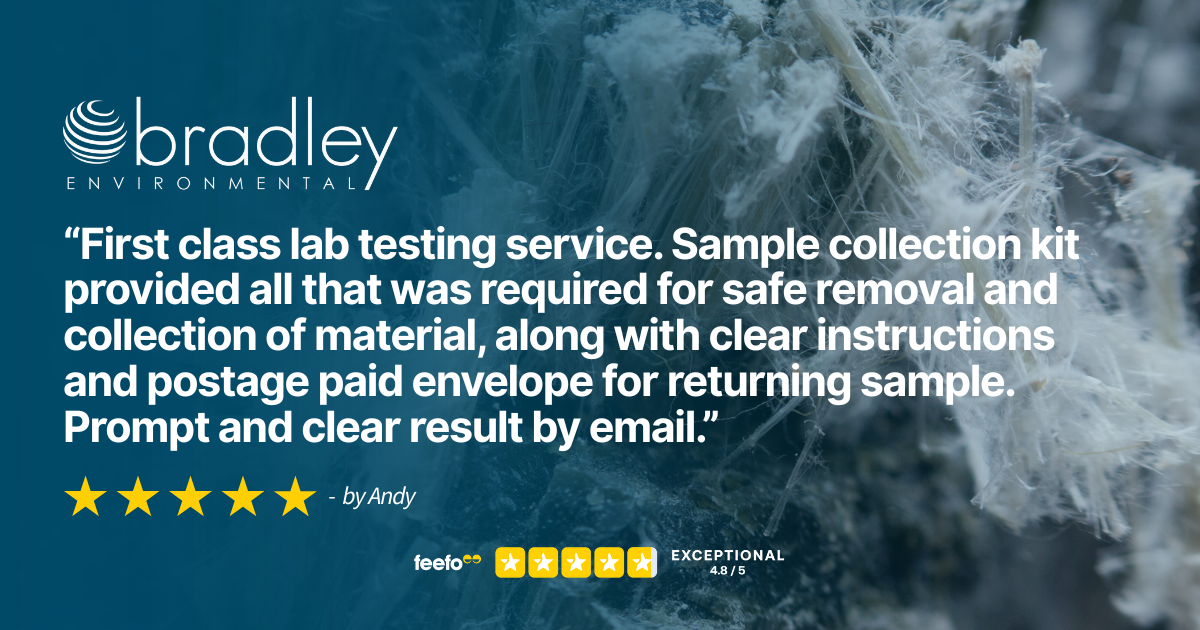 Trustpilot Review YN