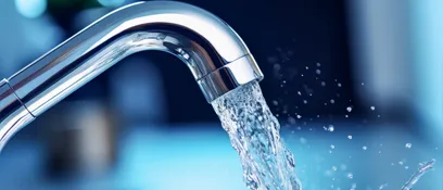 thumbnail cleaning and disinfection services